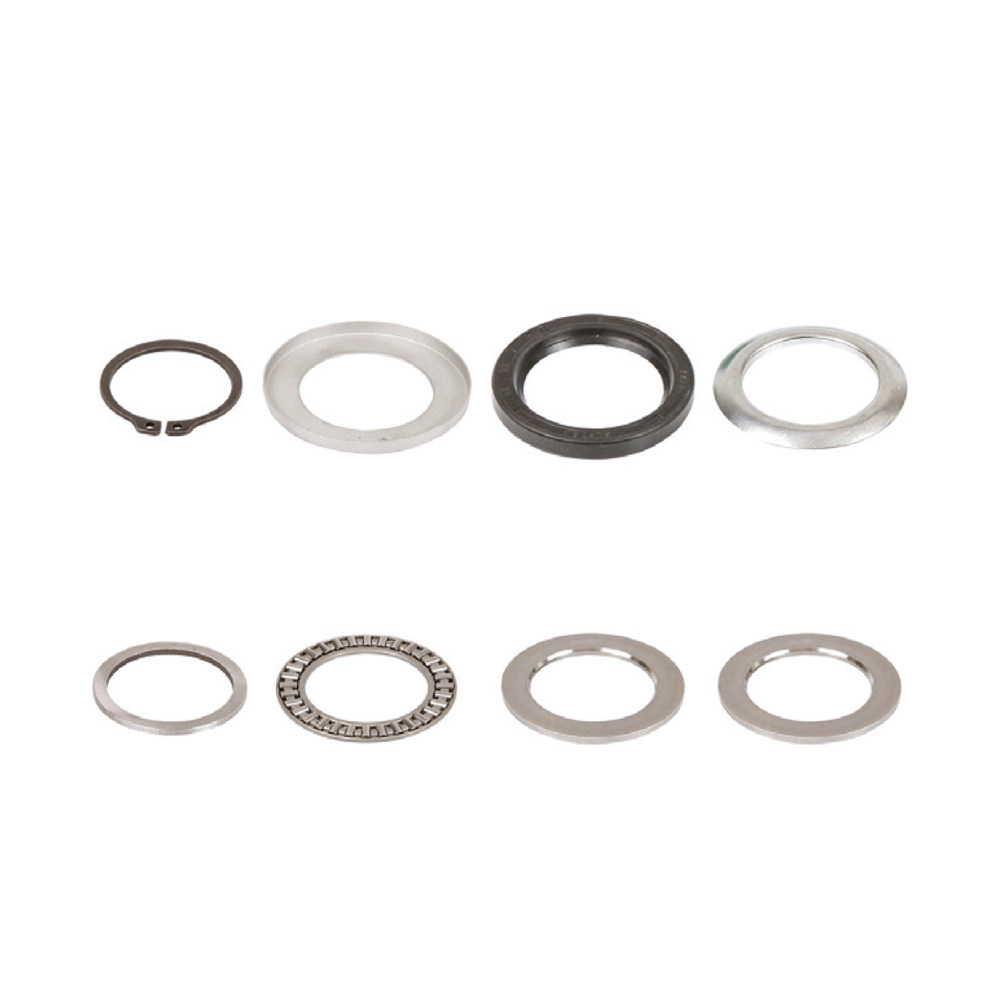 Caliper repair kit