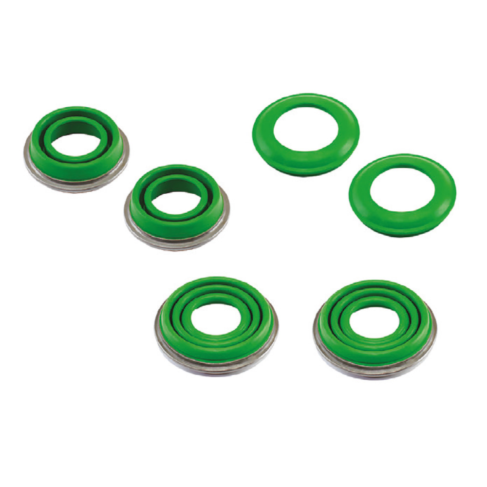Caliper Seals Kit